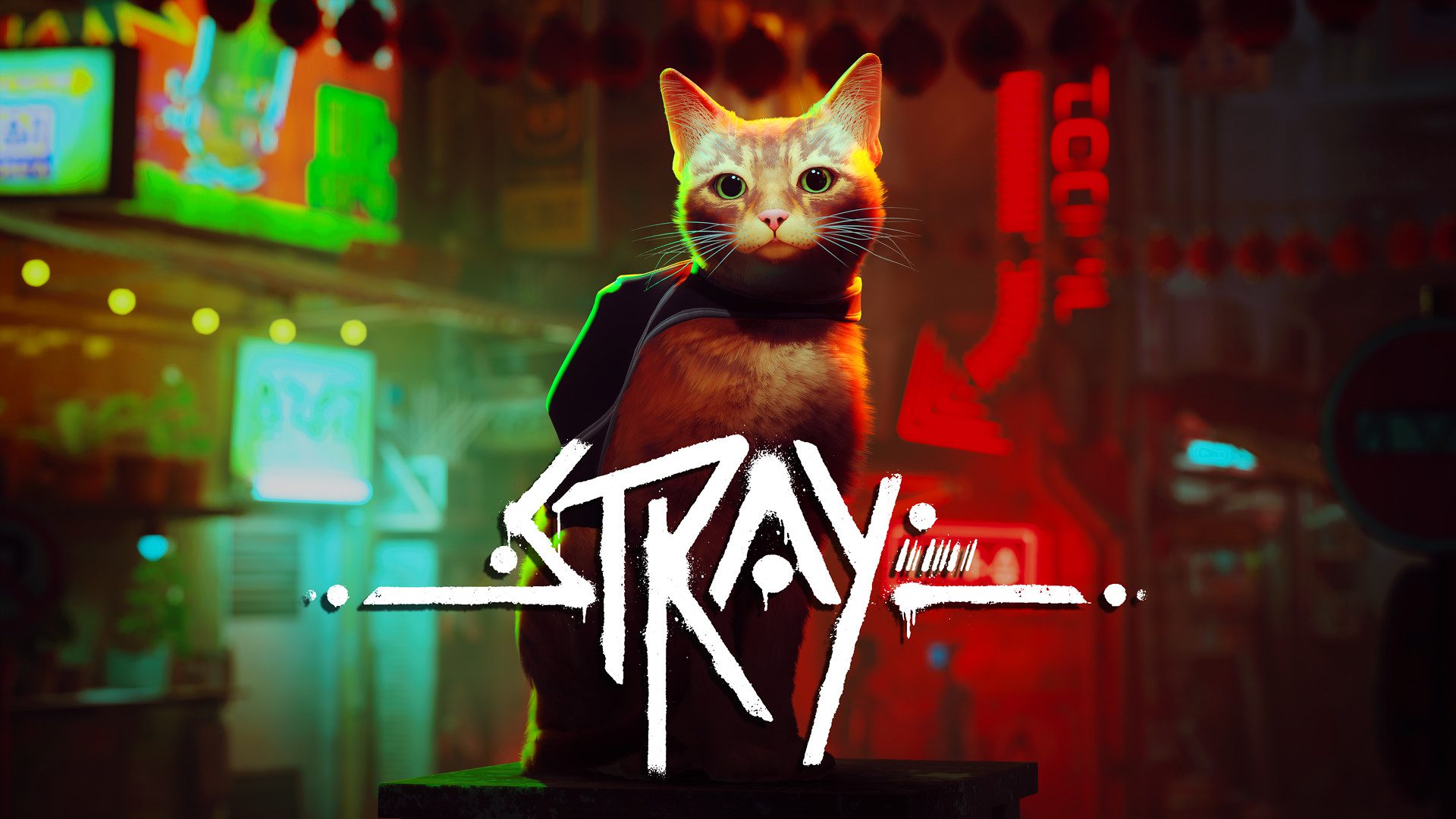 Stray é um dos jogos de julho do Playstation Extra e Deluxe